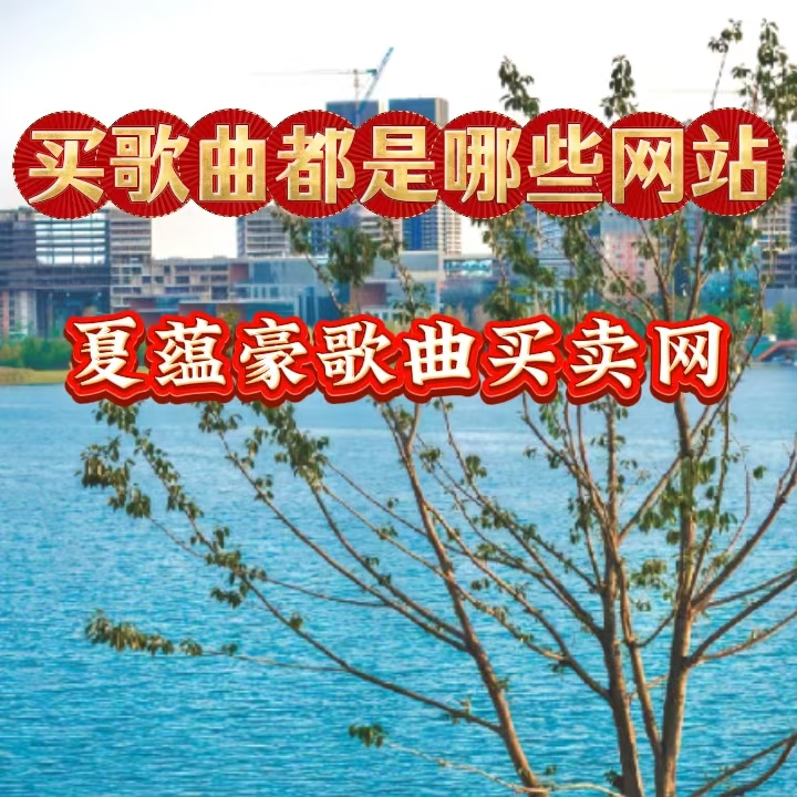 网站新闻图片14：买歌曲都是哪些网站