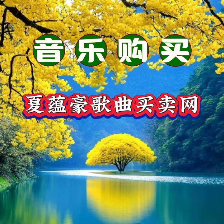 网站新闻图片16：音乐购买